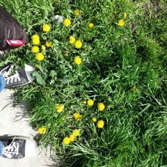 Анюта Несмеяна, 15.02