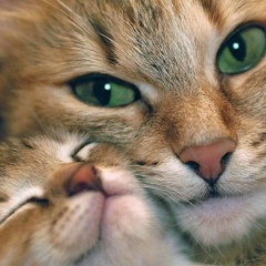 Василиса Ковальчук, 27.06, Минск