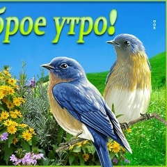 Ellen Olaresku, 02.06, Санкт-Петербург