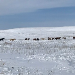 Асемгуль Сагынтаева, 17.10