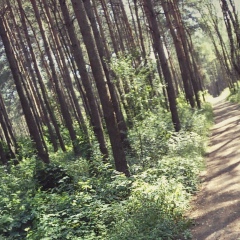 Анастасия Кухта, 05.03.1992, Гродно