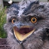 Владимир Крюков, 25.10.1988, Рига