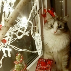 Елена Казымова, 08.09, Нижневартовск