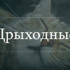 Калшабеков Нурдаулет, Алматы