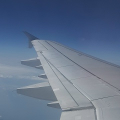 I-W Wiriss, 16.11.1989, Москва