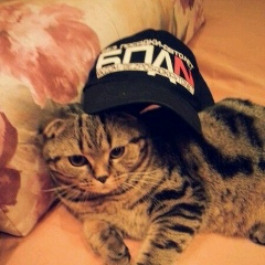 Стас Карпов, 24.09.1985, Екатеринбург