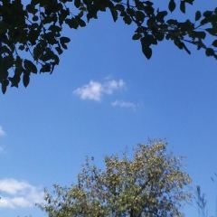 Светлана Ломанова-Масленникова, 26.07, Самара