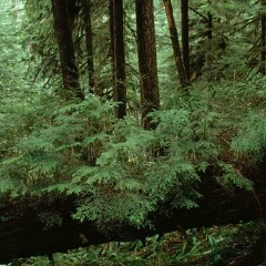 Оксана Зинченко, 05.05