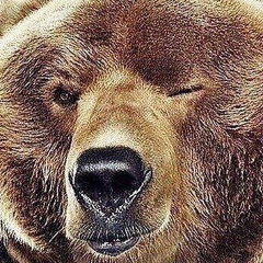 Anton Korotchin, 19.01, Астана