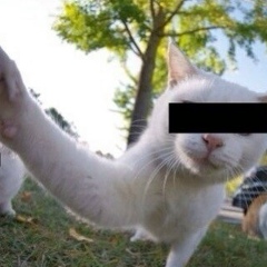 Антон Галатенко, 20.08.1991, Киев