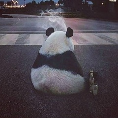 Кристина Андросова, Тула