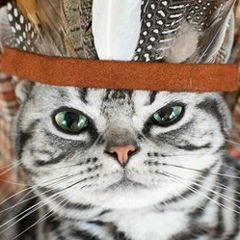 Юрий Мыцык, 23.03