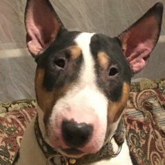 Стас Жизневский, 24.02, Санкт-Петербург