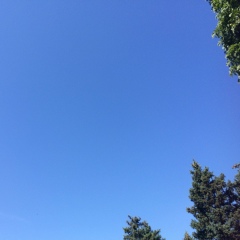 Амалия Газарян, 10.01, Ставрополь