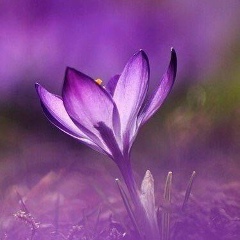 Aina Zholdasbekova, 04.12, Алматы