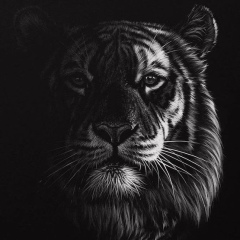 Rashid Rashid, 18.06, Jamestown