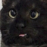 Анна Гущина, 08.08, Правдинск