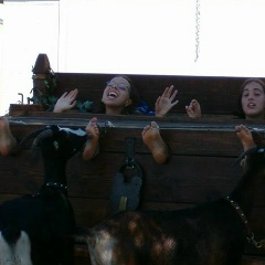 Tickle Man, 02.11.1992, Nantes