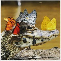 Маша Ларионова, 04.04.1986, Москва