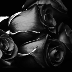 Zargan Sugaipova, 02.12.1972