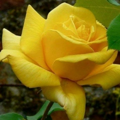 Людмила Соломко, 19.05.1987, Киев