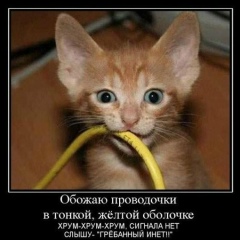 Artem Loskutov, 01.02.1993, Рига