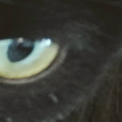 Анастасия Федосова, 20.12.1991, Лобня