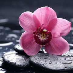 Ольга Завалина, 28.05, Санкт-Петербург