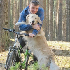 Владимир Исаков, Санкт-Петербург
