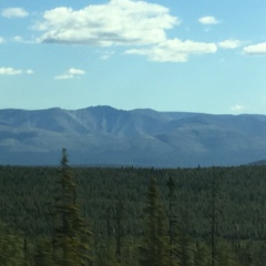 Дмитрий Меликов, 07.02.1988, Санкт-Петербург