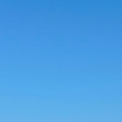 Анастасия Ильинская, 14.11, Москва