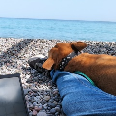 Дмитрий Кошелев, 14.11, Санкт-Петербург