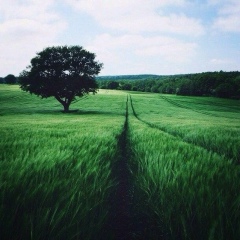 Тамара Калсынова, 17.05.1993