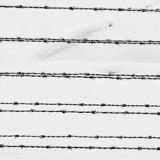 Игорь Новиков, Томск