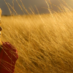 Анна Avis, 29.04