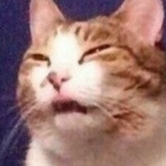 Любовь Морозова, 11.09, Москва