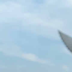 Тимур Алдабергенов, 24.07.1993, Астана