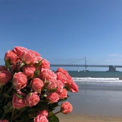 Опаля Беккишиева, 07.05.1994, Сургут