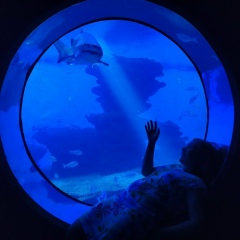 Клавдия Леонтьева, 30.04, Bierges