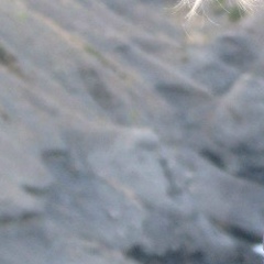 Марина Ольховская, 29.05, Харьков