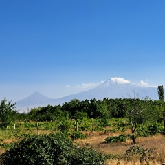 Пепронэ Дарбинян, 15.08.1981, Новосибирск