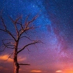 Михаил Юрьевич, Донецк