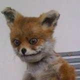 Егор Полковников, 23.05, Havelock North