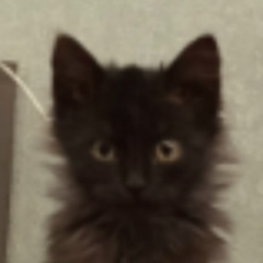 Кирилл Каракозов, 31.10.1983, Волгоград