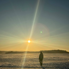 Антон Чесноков