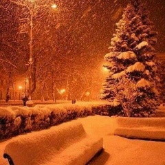 Наташа Плавская, Тольятти