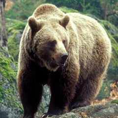 Света Турмасова, 05.01.1965, Череповец