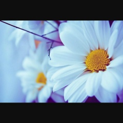 Аяулым Бектенова, 04.05, Шымкент