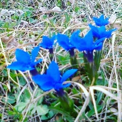 Твоя Детка, 12.11.1998, Каспийск