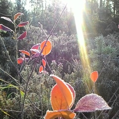 Александр Пучков, 14.08.1982, Санкт-Петербург